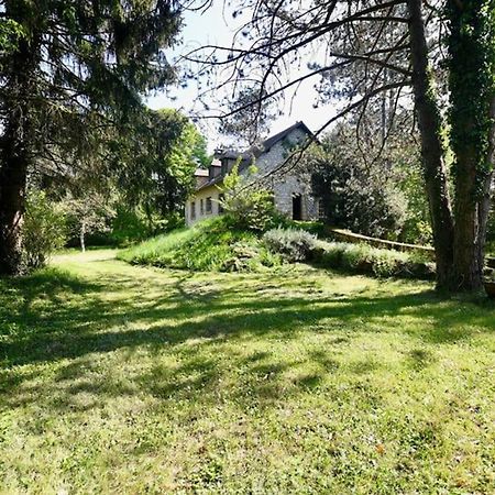 Montillot La Maison Des Bois A 10 Minutes De Vezelay 빌라 외부 사진