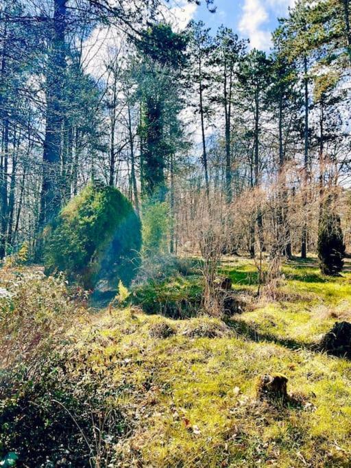 Montillot La Maison Des Bois A 10 Minutes De Vezelay 빌라 외부 사진