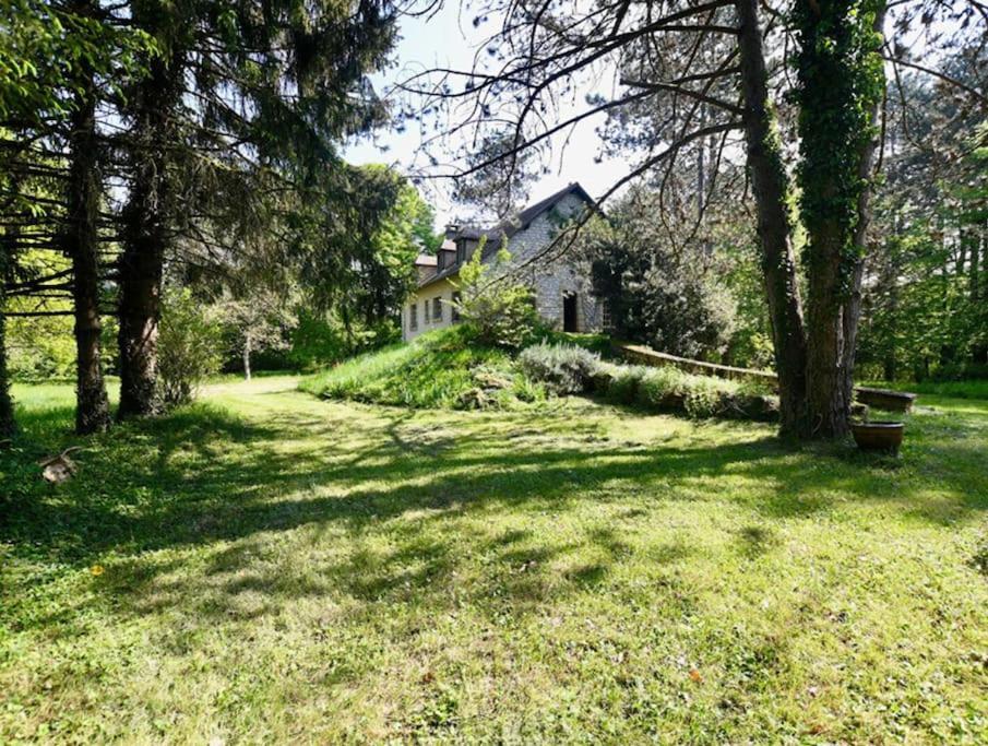 Montillot La Maison Des Bois A 10 Minutes De Vezelay 빌라 외부 사진